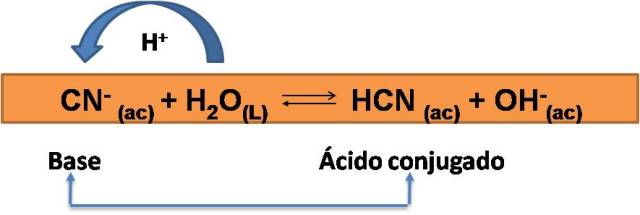 Estudio De Los Pares Conjugados De Cidos Y Bases Hive